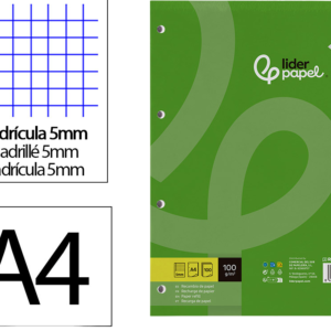 RECARGA LIDERPAPEL DIN A4 100F 100GR QUADRICULAS S/MARGEM BANDAS