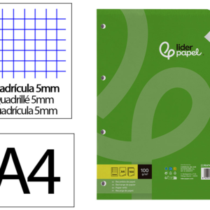 Recarga Liderpapel din A4 100 fl 100gr quadrícula
